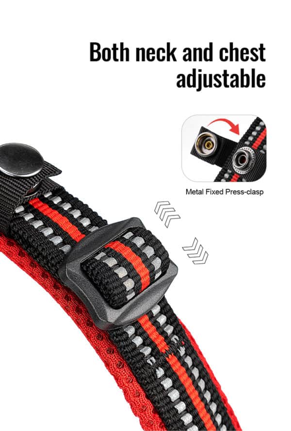 Truelove Air Mesh Dog Collar – Stainless Steel O-Ring (TLC5011)