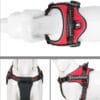 The Truelove Dog Handle Harness | Lightweight, Reflective & Strong is shown in red and black on a white mannequin from top, side, and back angles, featuring "Truelove" branding, adjustable straps, and secure buckles.