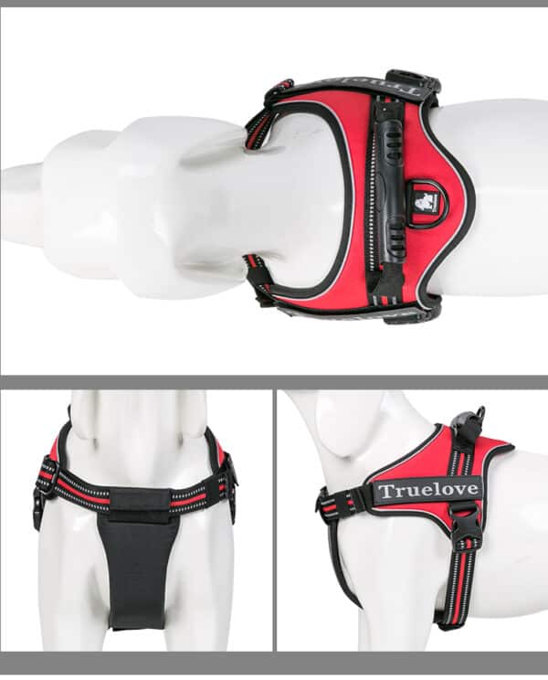 The Truelove Dog Handle Harness | Lightweight, Reflective & Strong is shown in red and black on a white mannequin from top, side, and back angles, featuring "Truelove" branding, adjustable straps, and secure buckles.