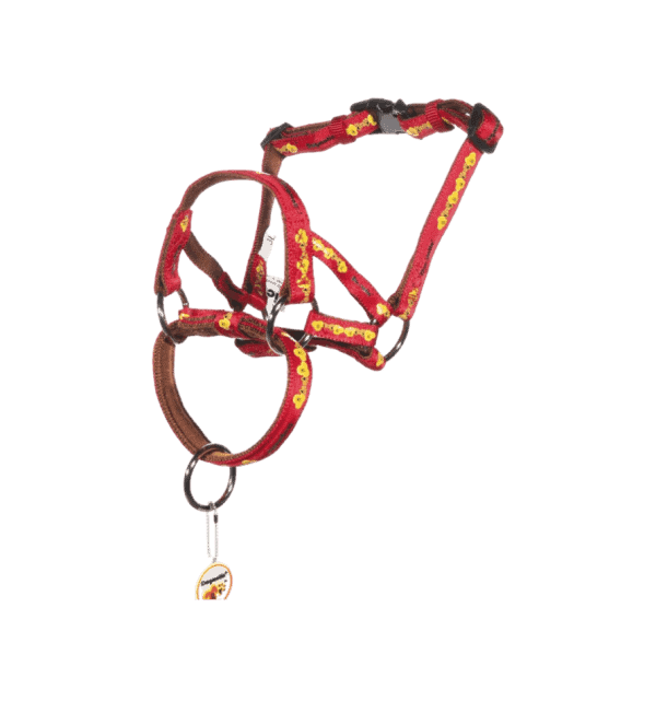 red Dogmatic Head Collar, , PADDED CUSHIONED WEBBING