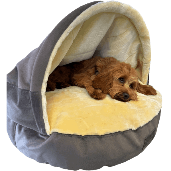 Cosy Cave Dog Bed