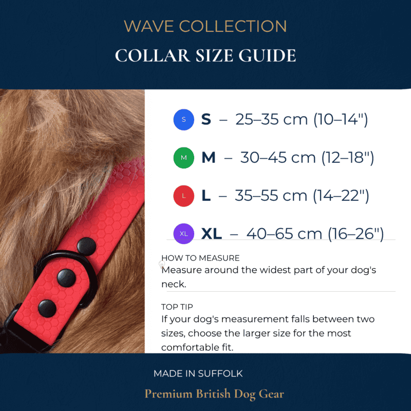 Guide to WAVE Waterproof Dog Collar sizes: S (25–35 cm), M (30–45 cm), L (35–55 cm), and XL (40–65 cm). Features a dog wearing a red, waterproof WAVE collar with a quick release buckle. Includes measurement tips.