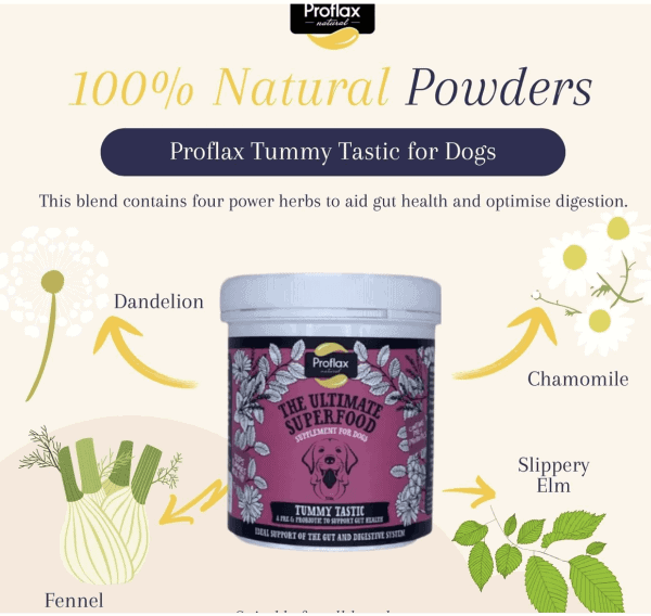 Screenshot 2024-03-13 at 15.11.11