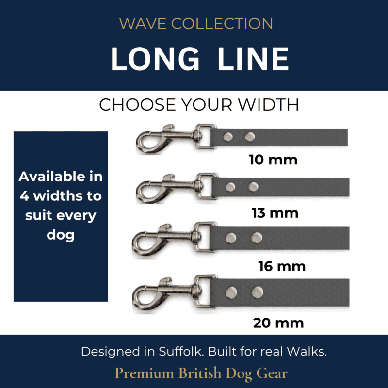 Four grey "WAVE – Long line" dog leads of varying widths (10mm, 13mm, 16mm, 20mm) with metal clips are displayed on a navy background. Featured as waterproof training long lines, they showcase four width options for dogs.