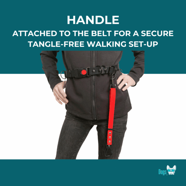 Freedom Handle for dogs – attaches to the Freedom Belt for secure, tangle-free hands-free dog walking.