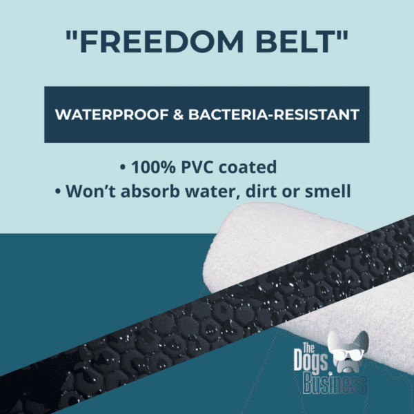 Freedom Belt waterproof PVC dog walking belt – bacteria-resistant, won’t absorb water, dirt, or smell.