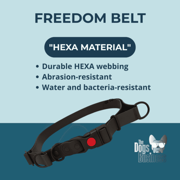 Freedom Belt for dogs – HEXA waterproof dog walking belt, abrasion-resistant and bacteria-resistant, part of The Dog’s Business Freedom System.
