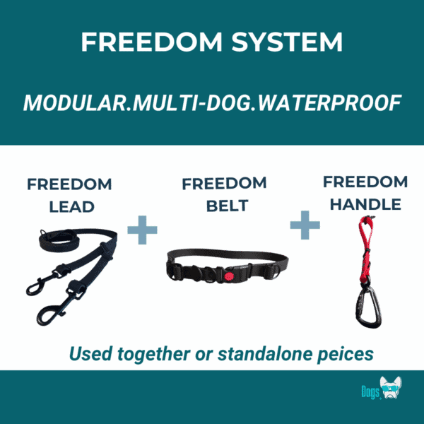 Modular Multi-Dog Waterproof Dog Walking Set – The Dog’s Business