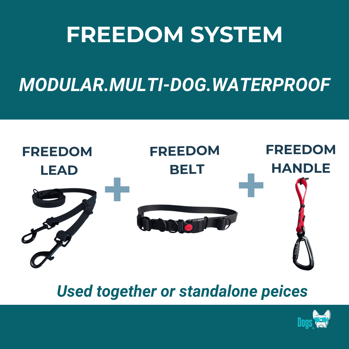 Modular Multi-Dog Waterproof Dog Walking Set – The Dog’s Business