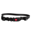 Freedom Belt with safety-lock clip – adjustable waterproof dog walking belt for secure, hands-free control.