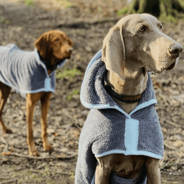 Henry Wag Drying Coat