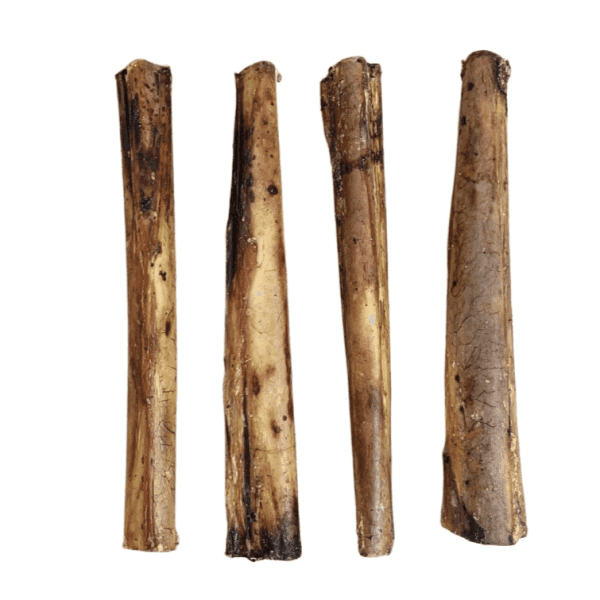 Ostrich marrow bone 18 cm