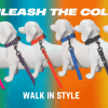 A SELCTION OF OUR WATERPROOF COLLARS 7 DIFFERENT DOGS WITH DIFFEREN