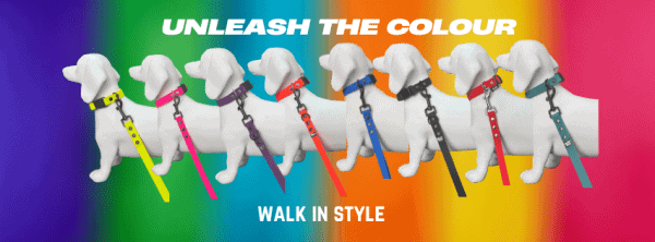 A SELCTION OF OUR WATERPROOF COLLARS 7 DIFFERENT DOGS WITH DIFFEREN