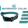 Image of a turquoise waterproof dog collar with a quick-release buckle, exuding the essence of premium products for dogs. Features include hexa webbing, a D-ring for tags, and it's fully adjustable. The Dog's Business Pet Shop logo is proudly displayed above the product.