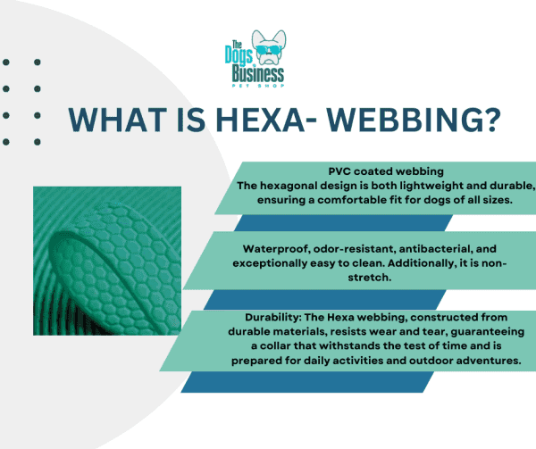 A promotional graphic for The Dog's Business Pet Shop showcases Hexa-webbing, part of our premium products for dogs. It highlights the webbing's lightweight, durable, water-resistant, antibacterial, and odor-resistant properties with vivid images and text details.