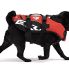 A black pug wearing an EzyDog Dog Flotation Device—red and black with white patterns and secure straps—walks left with its tongue out.