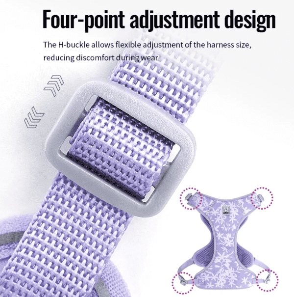 Close-up of a purple harness strap with a plastic buckle, illustrating the four-point adjustment design. An inset diagram of the harness shows the adjustable points for optimal fit. Text above explains harness adjustment benefits.