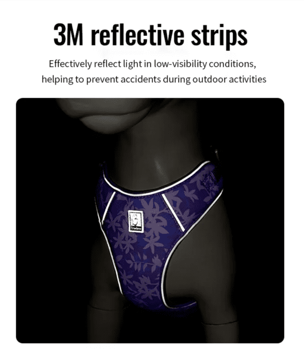 A dog wearing a purple harness with 3M reflective strips that highlight its outline in low light. Text above explains the strips help prevent accidents during outdoor activities by enhancing visibility.