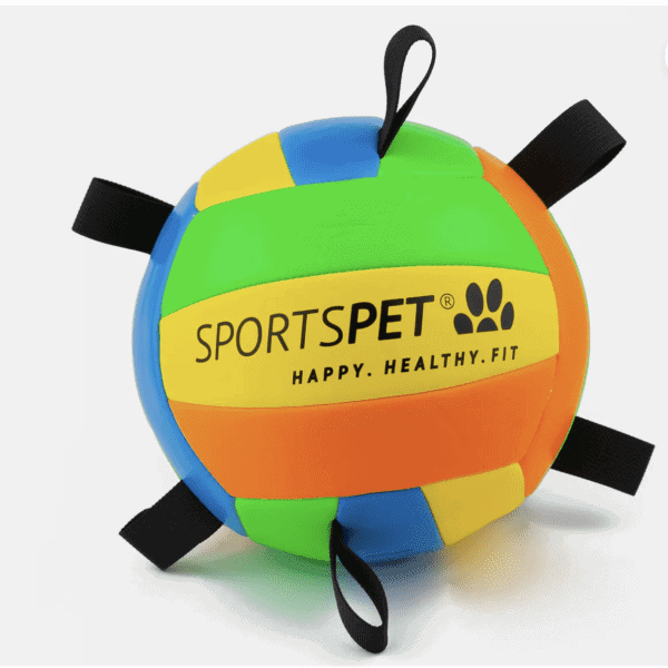 Dog Toys Balls Football ball Sportspet Tab Handles Throw Launch Ball Large 21cm