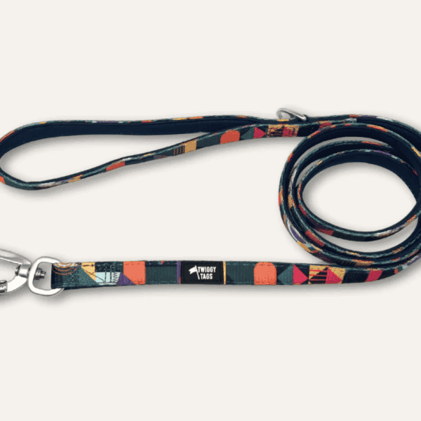 Twiggy Tags Aurora Adventure Dog Lead S