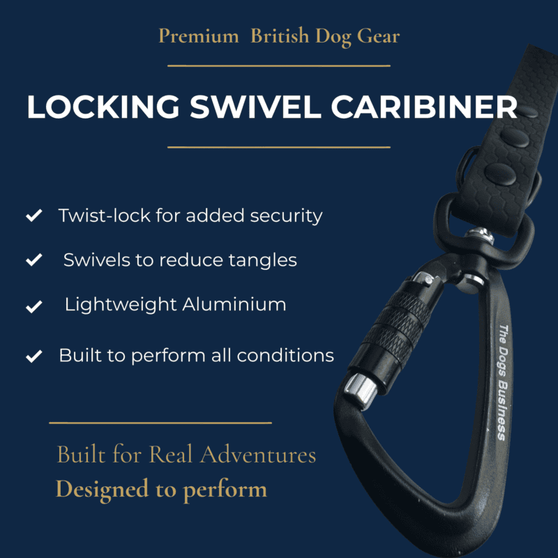 A black locking swivel carabiner with a lead attached is displayed on a dark blue background. The features and benefits of the Freedom Handle—a hands-free dog walking attachment designed for multi-dog control—are listed in white text beside it.