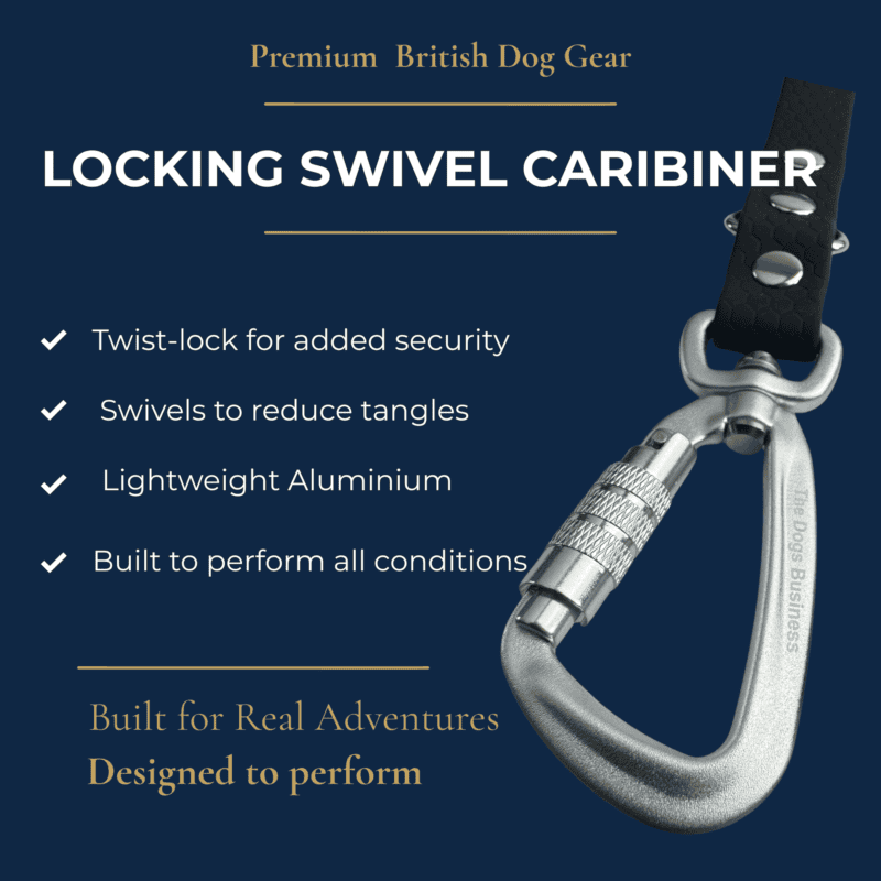 Freedom Handle: Shown against a blue background, this silver locking swivel carabiner with a black strap features a twist-lock mechanism, swivelling design, and is crafted from lightweight yet durable aluminium. Designed for real adventures, the Freedom Handle serves as the perfect hands-free dog walking attachment for controlling multiple dogs—providing you security and convenience every step of the way.