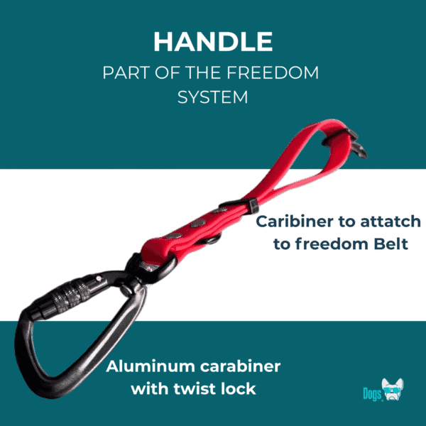 Freedom Handle with aluminum twist-lock carabiner, part of the Freedom System, attaches securely to the Freedom Belt for hands-free dog walking.