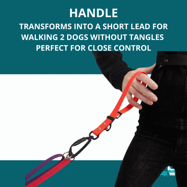 Freedom Handle transforms into a short lead for walking two dogs tangle-free, perfect for close control.”