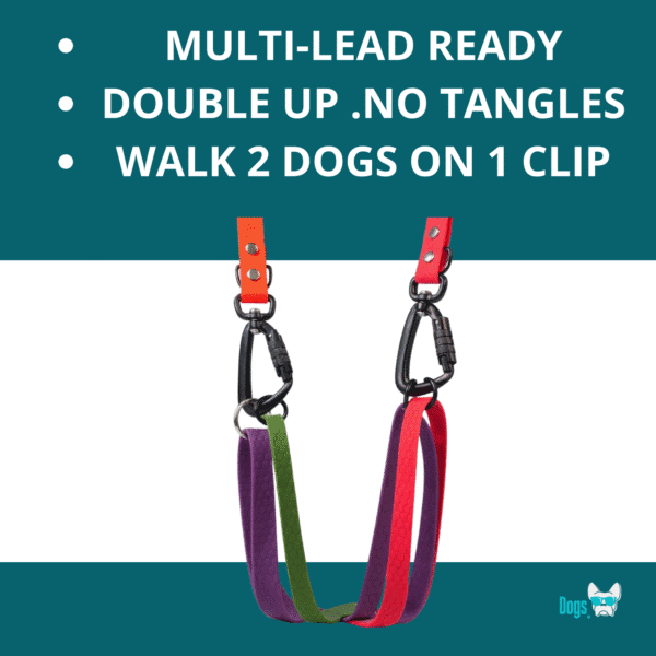 Freedom Handle with swivel carabiners, designed for walking two dogs on one clip with no tangles.