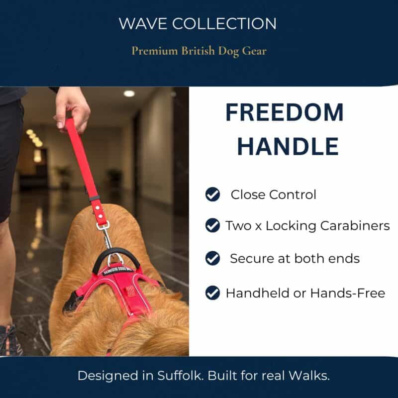 A person walks a dog using the Freedom Handle, a hands-free dog walking attachment that offers innovative multi-dog control with features such as close control, locking carabiners, secure ends, and the versatility to be used either handheld or hands-free.