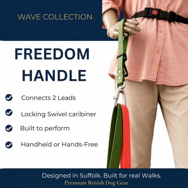 A mannequin displays two dog leads equipped with black and red Freedom Handles in front of a blue and beige promotional backdrop for a premium British dog gear brand. Key features of the Hands-Free Dog Walking Attachment—Freedom Handle—for Multi-Dog Control, along with the collection name, are highlighted.