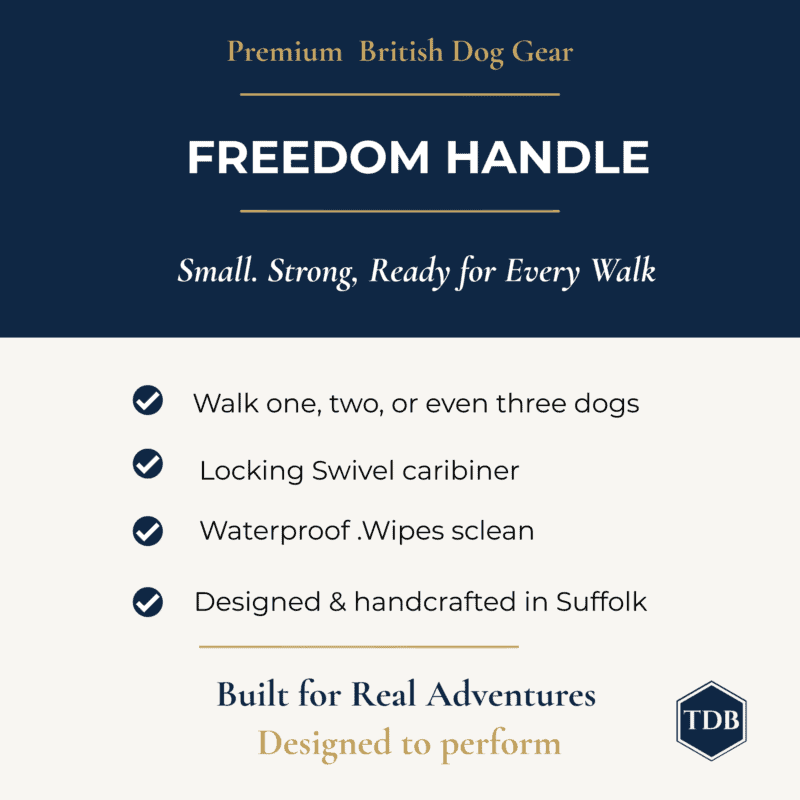 A promotional graphic for the Freedom Handle highlights its ability to walk up to three dogs, secure locking swivel carabiner, waterproof construction, and handcrafted design in Suffolk. This hands-free lead attachment ensures comfortable control for multi-dog adventures.