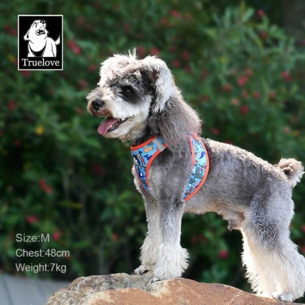A small gray and white dog wears the Truelove Easy Fit Quick-Release Pet Harness with Dual D-Rings, standing on a rock outdoors. Text reads: “Size: M, Chest: 48cm, Weight: 7kg." Truelove logo in top left corner.