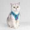 A light gray cat with green eyes sits against a plain background, wearing the Truelove Easy Fit Quick-Release Pet Harness with Dual D-Rings, featuring blue trim and a vibrant floral pattern.