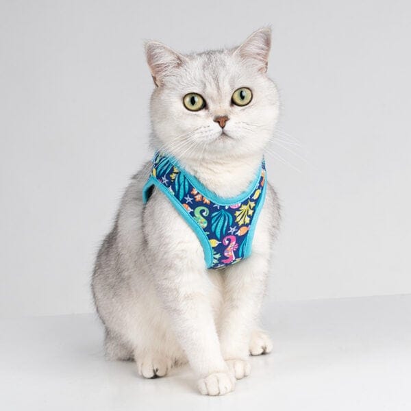 A light gray cat with green eyes sits against a plain background, wearing the Truelove Easy Fit Quick-Release Pet Harness with Dual D-Rings, featuring blue trim and a vibrant floral pattern.