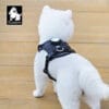 A fluffy white dog wears the Truelove TLH6771 LED Dog Harness - GPS Tracker Smart Safety on a wooden floor, facing away. The harness has a small round device and the Truelove logo with dog graphic is in the top left corner.
