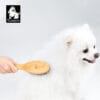 A fluffy white dog is brushed with the Truelove Bamboo Pet Brush – Dual-Action Grooming Comb for Dogs & Cats by a person's hand. The dog looks to the side with its tongue out. A "Truelove" logo appears in the top left corner.