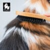 A hand brushes a dog's thick brown, black, and white fur with the Truelove Bamboo Pet Brush – Dual-Action Grooming Comb for Dogs & Cats. The "Truelove" logo with a dog appears in the top left corner.