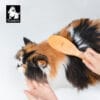 A person brushes a fluffy calico cat using the Truelove Bamboo Pet Brush – Dual-Action Grooming Comb for Dogs & Cats; the relaxed cat is shown, with a "Truelove" logo featuring a dog's head in the top left corner.
