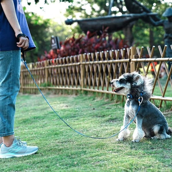 A person stands on grass holding the Truelove TLL2772 Reflective Dog Leash, a lightweight 3M safety leash, next to a small gray dog looking up at them. A wooden fence and greenery create a peaceful park ambiance.