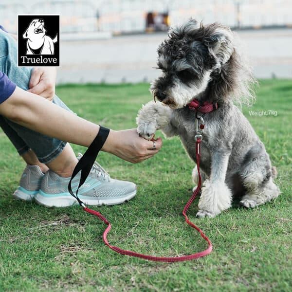 A small, gray and white dog, wearing a red Truelove Reflective Dog Leash - Lightweight 3M Safety Leash (TLL2772), sits on grass giving its paw to a person in sneakers and jeans. The Truelove brand logo is in the upper left corner.