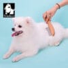 A happy white dog with its tongue out is brushed by hand using the Truelove Bamboo Pet Grooming Brush – Stainless Steel Pins. The dog lies on a light blue background, with the Truelove logo and dog illustration in the top left corner.