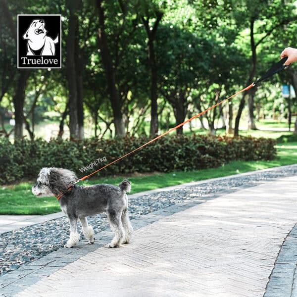 A small gray dog on a Reflective Dog Leash - Lightweight 3M Safety Leash | Truelove TLL2772 stands on a paved park path, surrounded by green trees and grass. A person holds the leash, and the "Truelove" logo appears in the top left corner.
