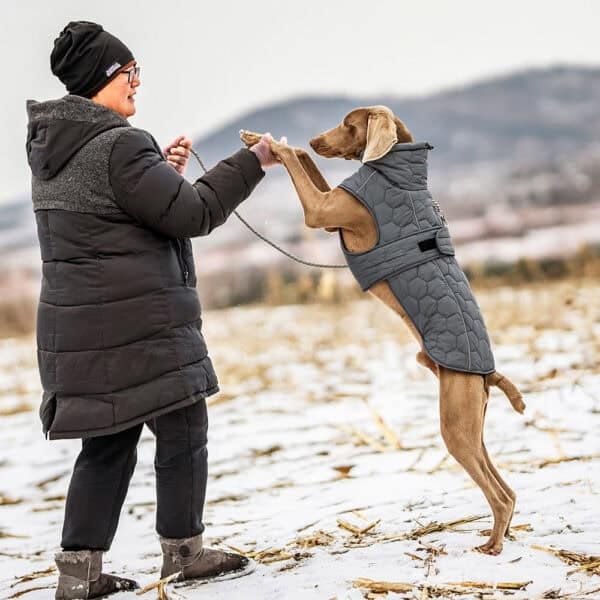 A person and their dog enjoying a moment together outdoors, the dog is wearing a warm gray winter jacket.
