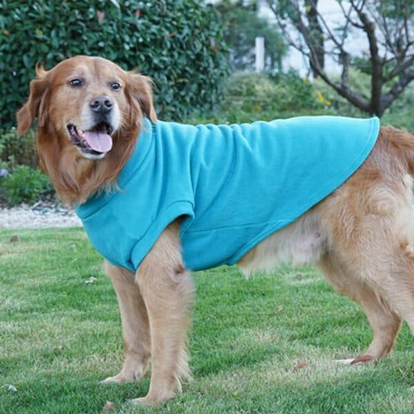 A golden retriever stands on green grass, wearing the Fleece Dog Sweater | Warm Winter Vest for Dogs & Cats in bright blue. The happy dog looks to the side with its mouth open and tongue out, with bushes and plants in the background.