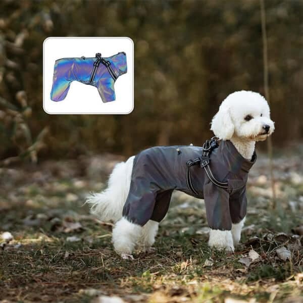 Dog wearing the iridescent reflective raincoat in the forest, with a focus on the waterproof and adjustable design perfect for outdoor adventures.