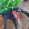 A close-up of a dog in a black harness with a red GPS tracker, leashed near green plants and the Truelove TLB2012 Pet Carrier—waterproof, multi-use, and made with durable DuPont material—visible in the blurred background.