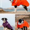A black and white dog outdoors stands on rocks with blurred natural scenery, wearing an orange Outdoor Winter Dog Coat - Waterproof, Windproof & Reflective (top and bottom right) and a purple raincoat (bottom left).