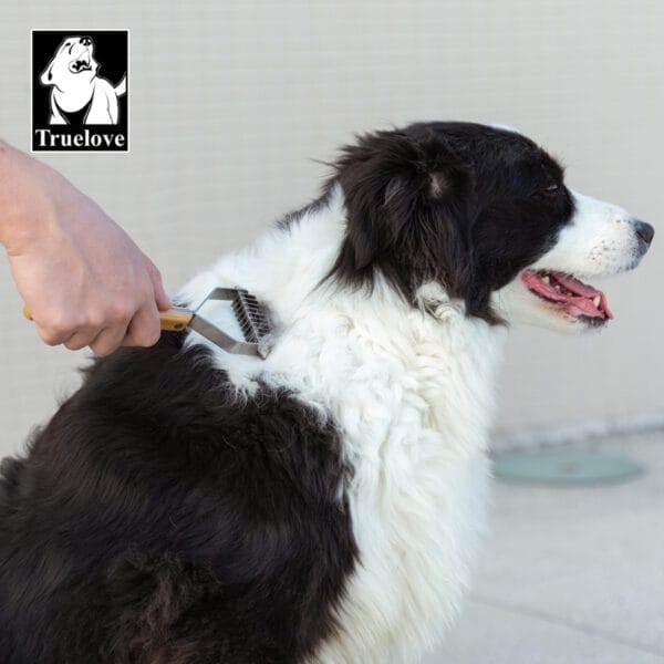 A person brushes the thick black and white fur of a Border Collie dog outdoors. The dog looks content with its mouth open. The Truelove brand logo is visible in the top left corner.